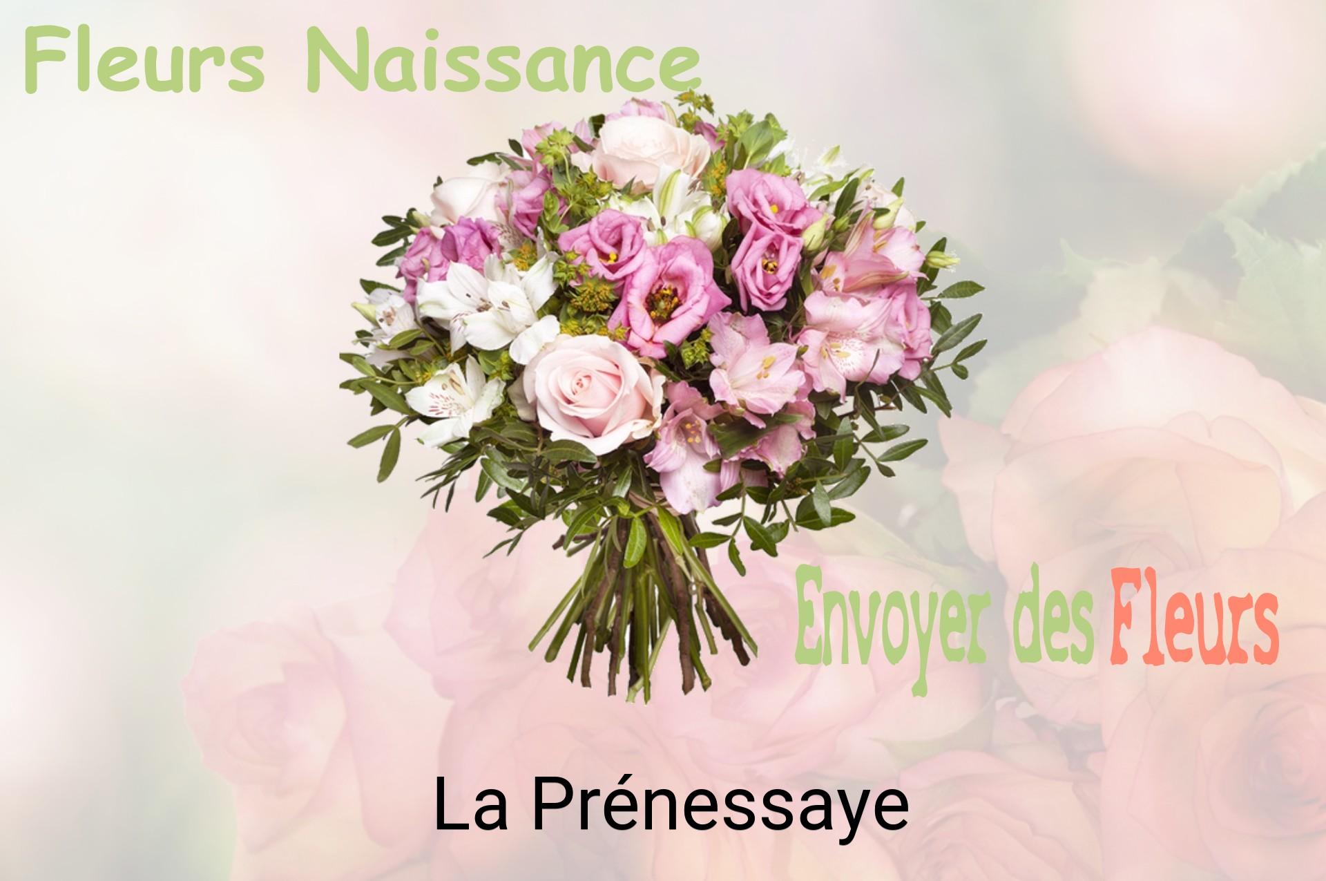 Bouquet de fleurs de naissance livré à La Prénessaye